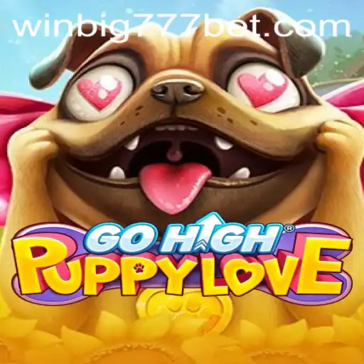 Thrilling Adventures in GoHighPuppyLove with WINBIG777 BET