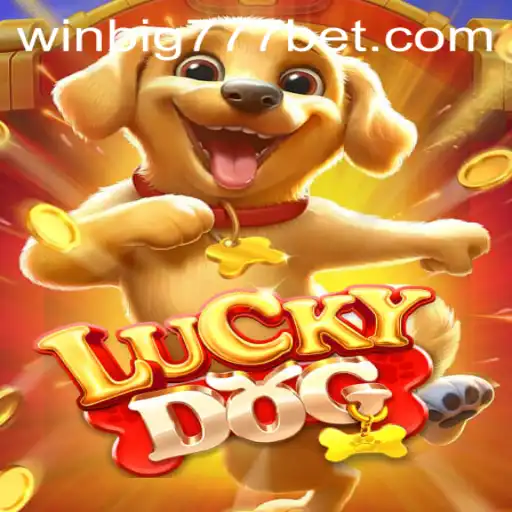 Unleashing the Thrill: Exploring the Immersive World of LuckyDog with WINBIG777 BET