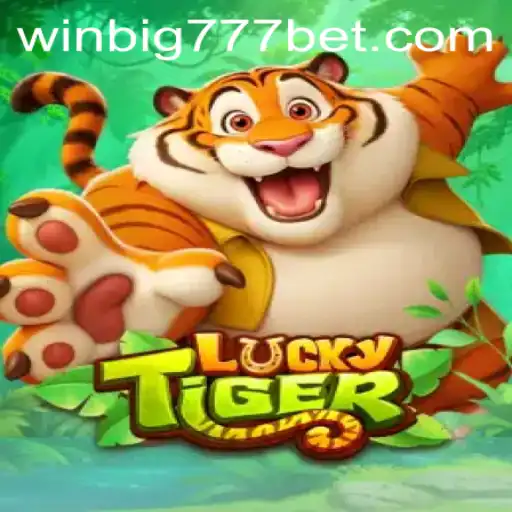Exploring LuckyTiger: Unleash Your Winning Spirit with WINBIG777 BET